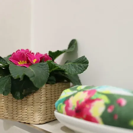 Appartement Talialetna Nicolosi